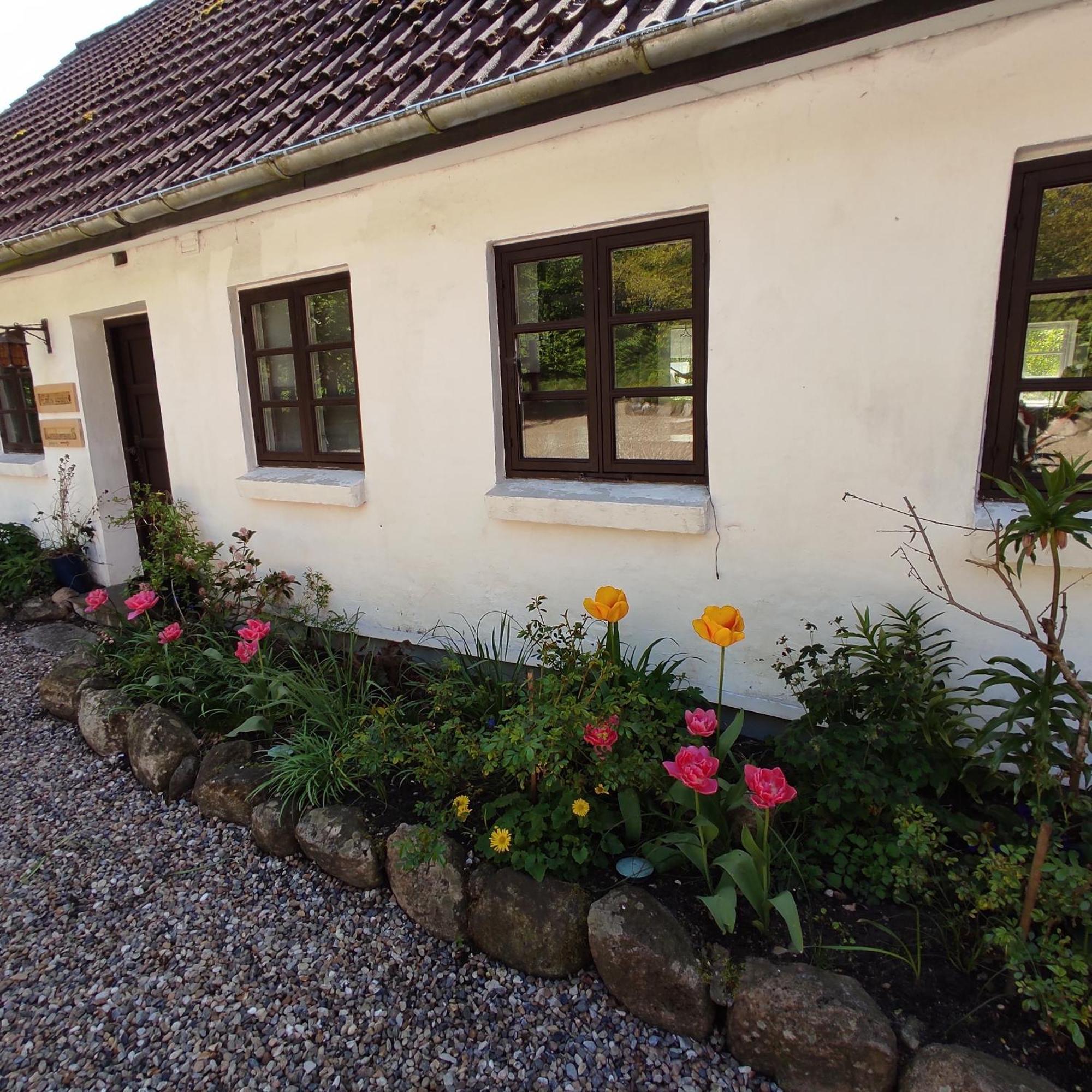 Bed and Breakfast Emily'S Garden Lintrup Exteriér fotografie